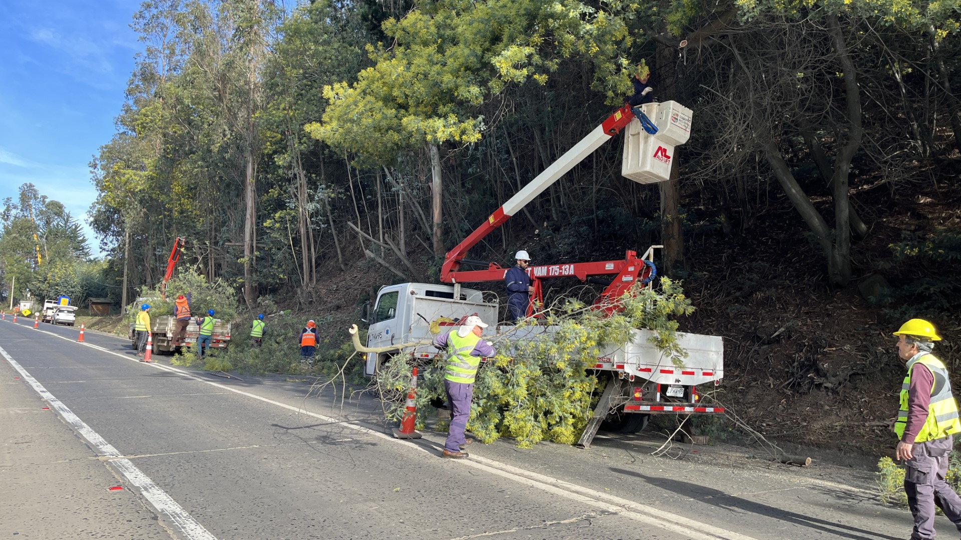 MUNICIPIO DE CONSTITUCIÓN EJECUTA IMPORTANTE LIMPIEZA EN SECTOR PANGALILLO PARA REFORZAR LA SEGURIDAD VIAL EN ESTE INVIERNO 2026