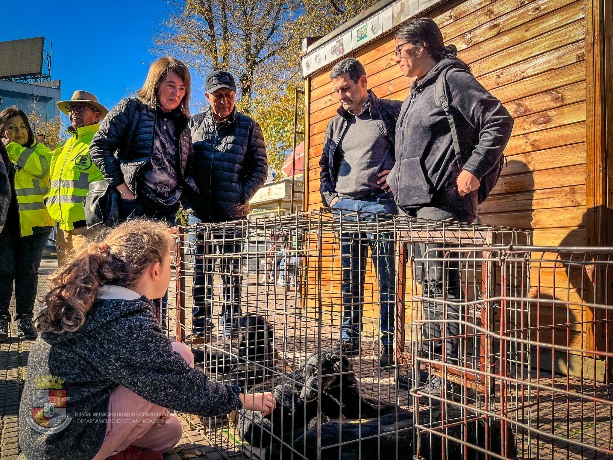 JORNADA DE ADOPCIÓN DE PERROS