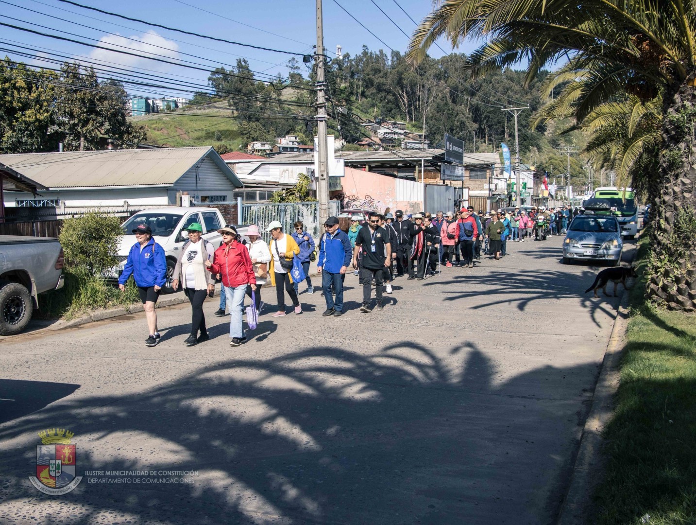 ACTIVIDAD GENERACIONAL