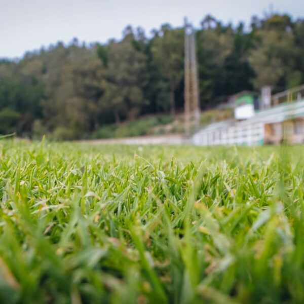 MUNICIPALIDAD DE CONSTITUCIÓN REFUERZA INFRAESTRUCTURA DEPORTIVA CON NUEVO SISTEMA DE…