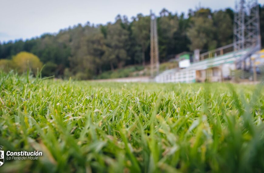 MUNICIPALIDAD DE CONSTITUCIÓN REFUERZA INFRAESTRUCTURA DEPORTIVA CON NUEVO SISTEMA DE RIEGO Y VIVERO DE PASTO EN PUTÚ.