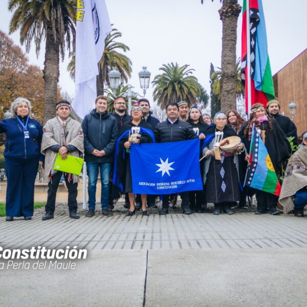 IZAMIENTO DE LA BANDERA MAPUCHE EN CONSTITUCIÓN MARCA INICIO DE&hellip;