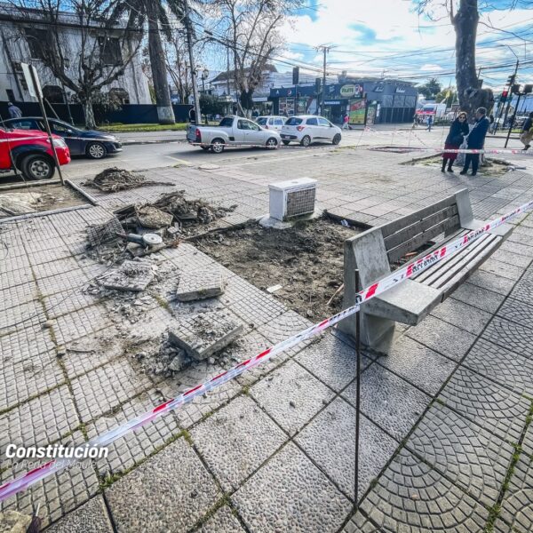MUNICIPALIDAD DE CONSTITUCIÓN AVANZA EN PLAN DE MEJORAMIENTO Y CONSERVACIÓN…