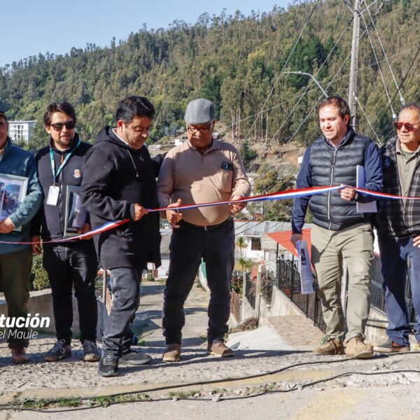 CONSTITUCIÓN FORTALECE LA SEGURIDAD VIAL EN IGNACIO CARRERA PINTO CON…