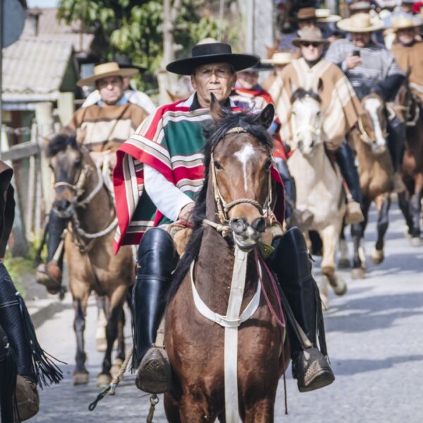 CABALGATA DE LA AMISTAD 2025 EN CONSTITUCIÓN: TRADICIÓN QUE SE&hellip;