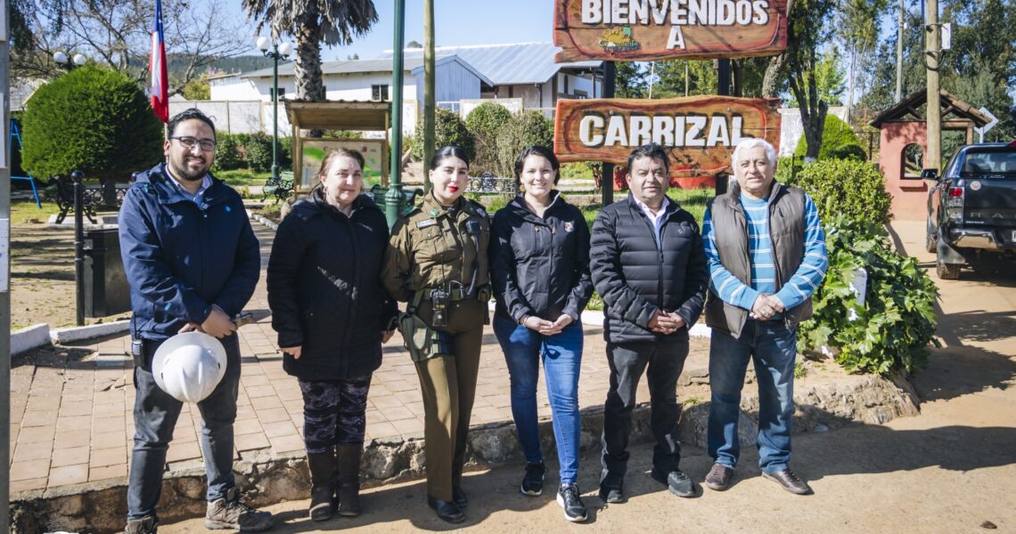 MUNICIPIO DE CONSTITUCIÓN CONCRETA RECAMBIO DE 45 LUMINARIAS LED EN SECTOR CARRIZAL.