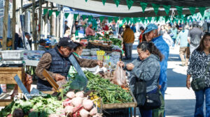 INICIÓ EL ANIVERSARIO 65 DE LA FERIA LIBRE DE CONSTITUCIÓN: UNA REINA POR CADA SINDICATO Y UNA SEMANA LLENA DE ACTIVIDADES