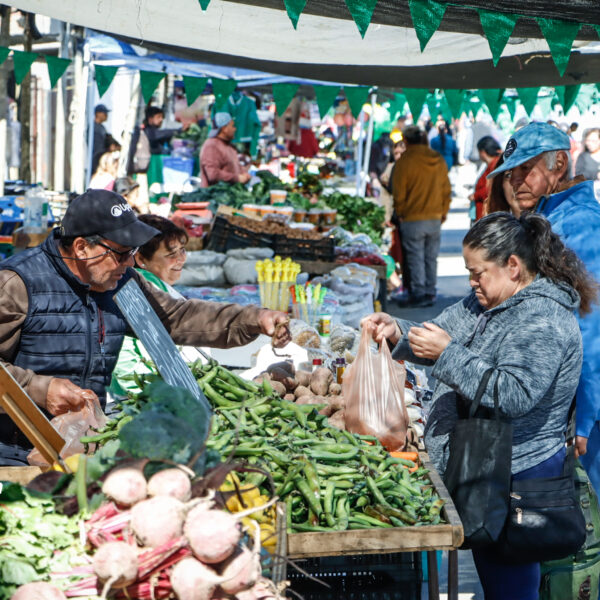 INICIÓ EL ANIVERSARIO 65 DE LA FERIA LIBRE DE CONSTITUCIÓN:…