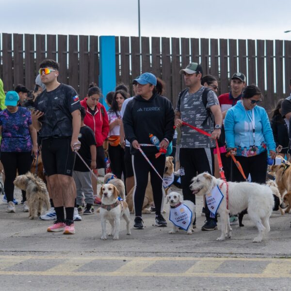 CORRIDA FAMILIAR CON MASCOTAS CANICROSS