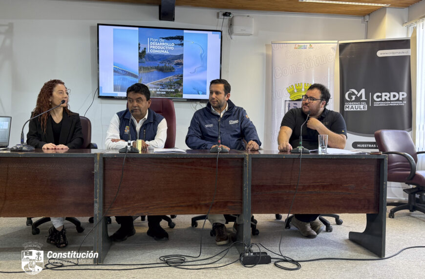 VALIDACIÓN PLAN DE DESARROLLO PRODUCTIVO