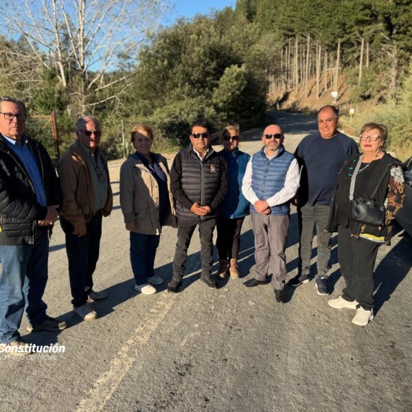 INICIO DE PAVIMENTACIÓN EN SECTOR PIEDRA DEL LOBO MARCA AVANCE&hellip;