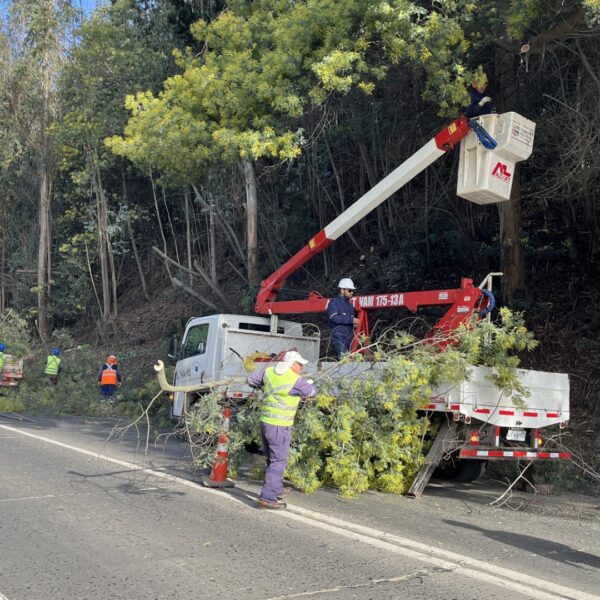 MUNICIPIO DE CONSTITUCIÓN EJECUTA IMPORTANTE LIMPIEZA EN SECTOR PANGALILLO PARA&hellip;
